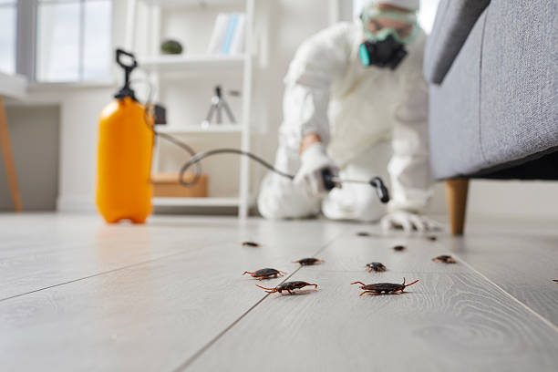Post-Treatment Bed Bug Interceptor Monitoring in Jamestown