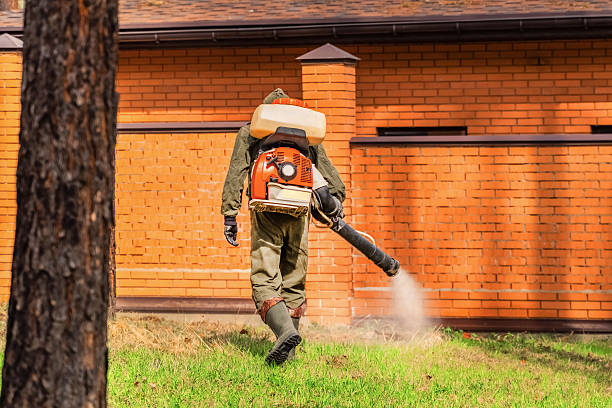 Bed Bug Clearance Verification and Documentation in Jamestown